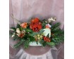 Holly Jolly Amaryllis